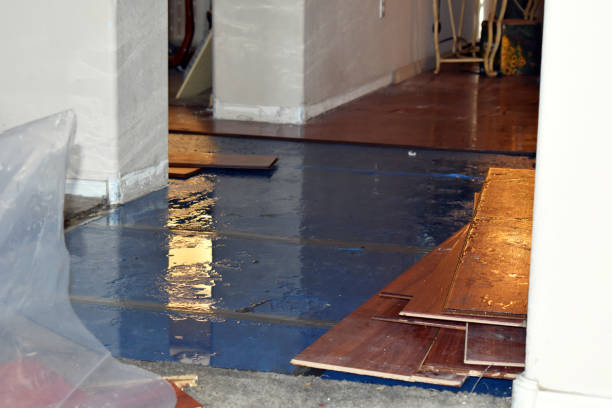 Professional Flood Cleanup technician working in Bluffton, IN
